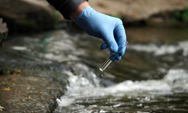 immagine descrittiva