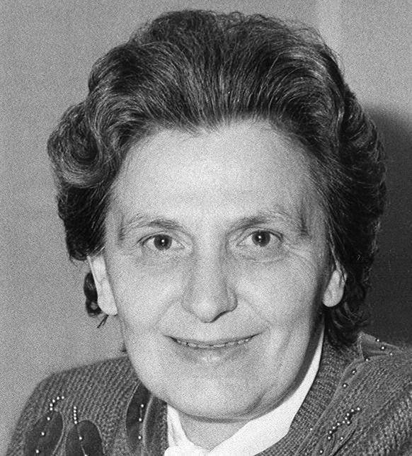 immagine descrittiva