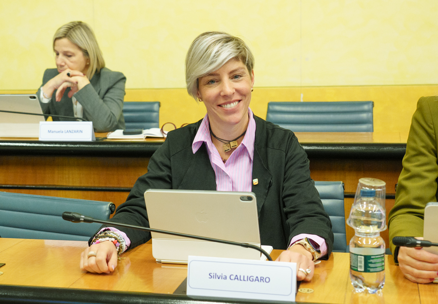 immagine descrittiva