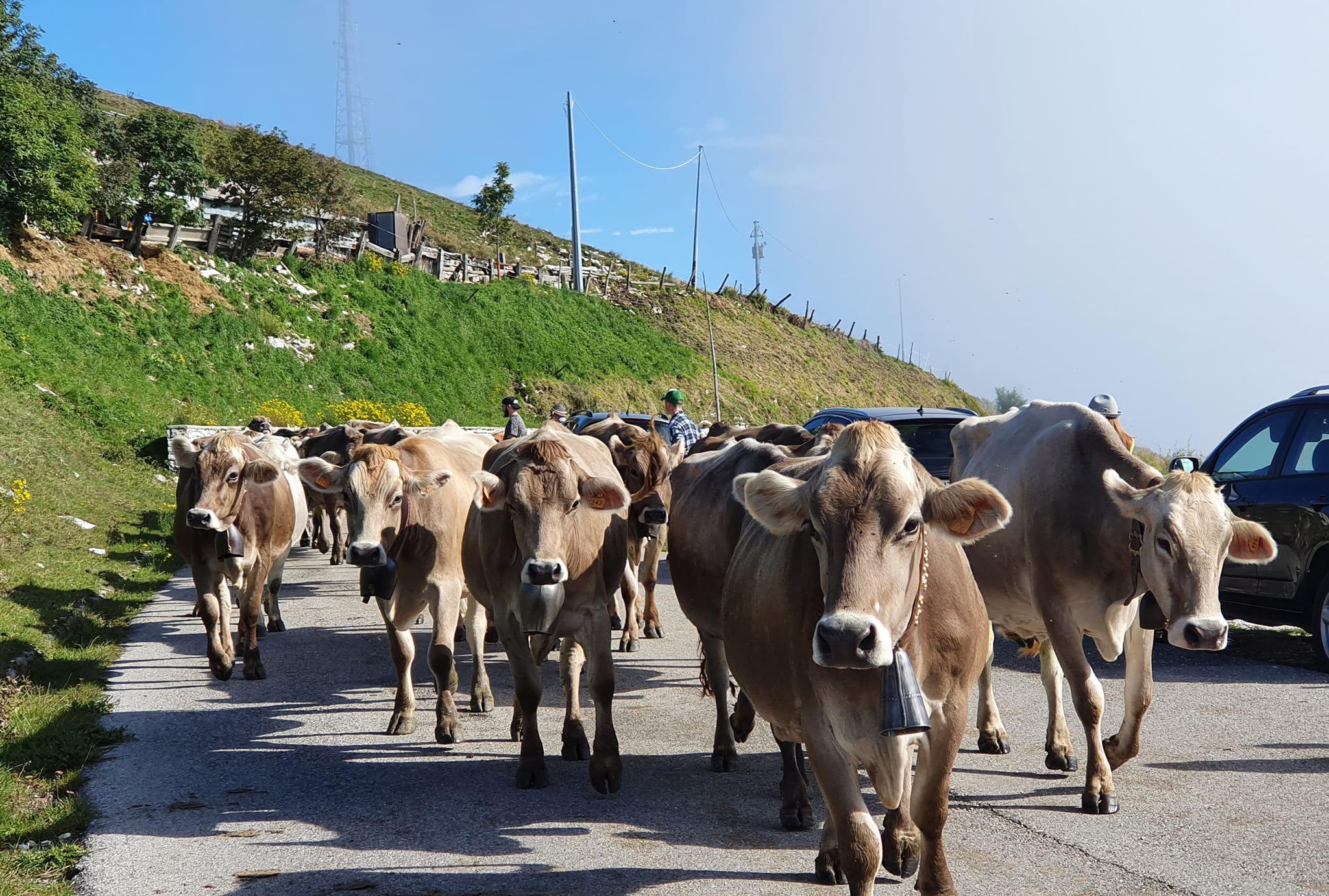 immagine descrittiva