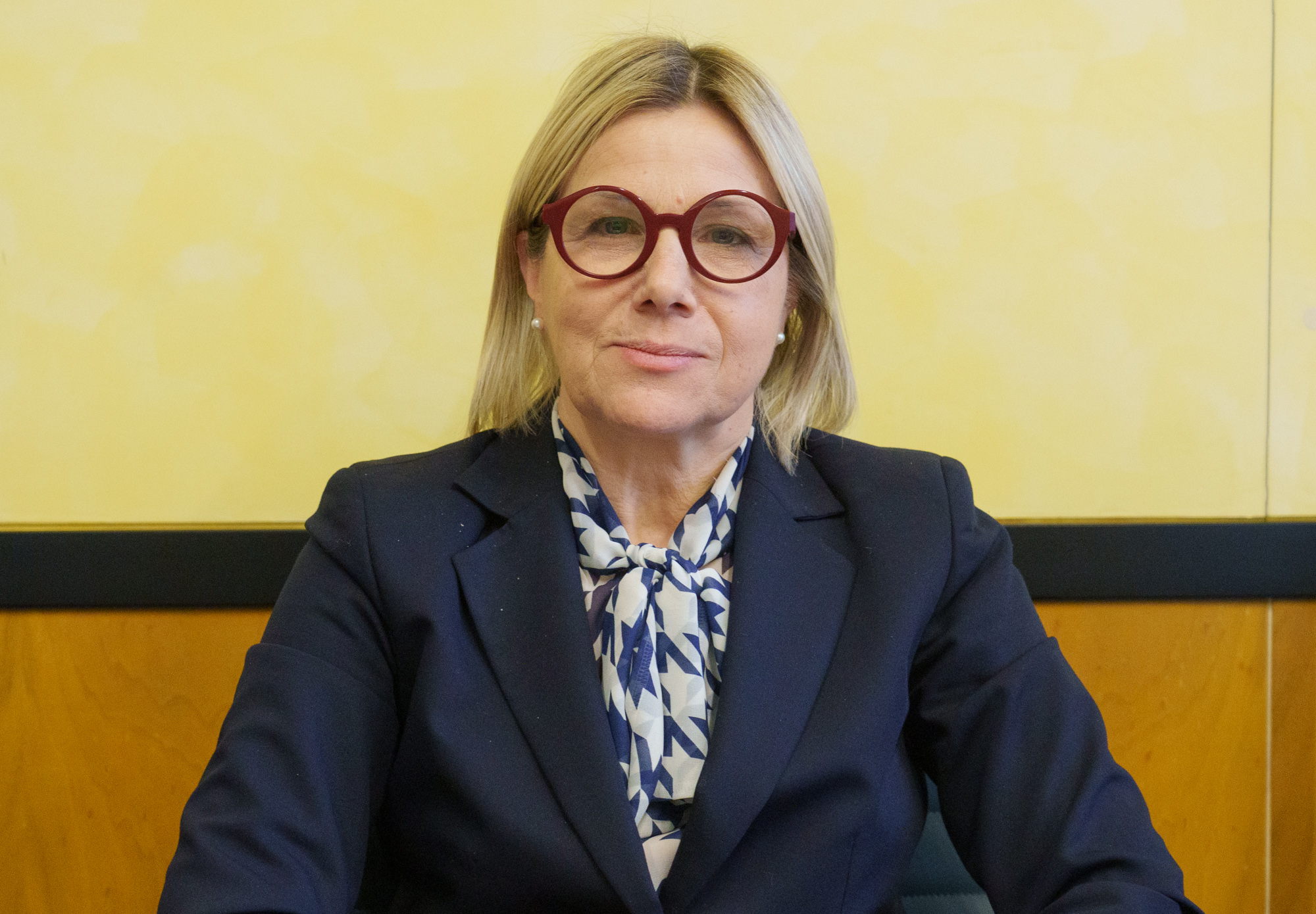 immagine descrittiva