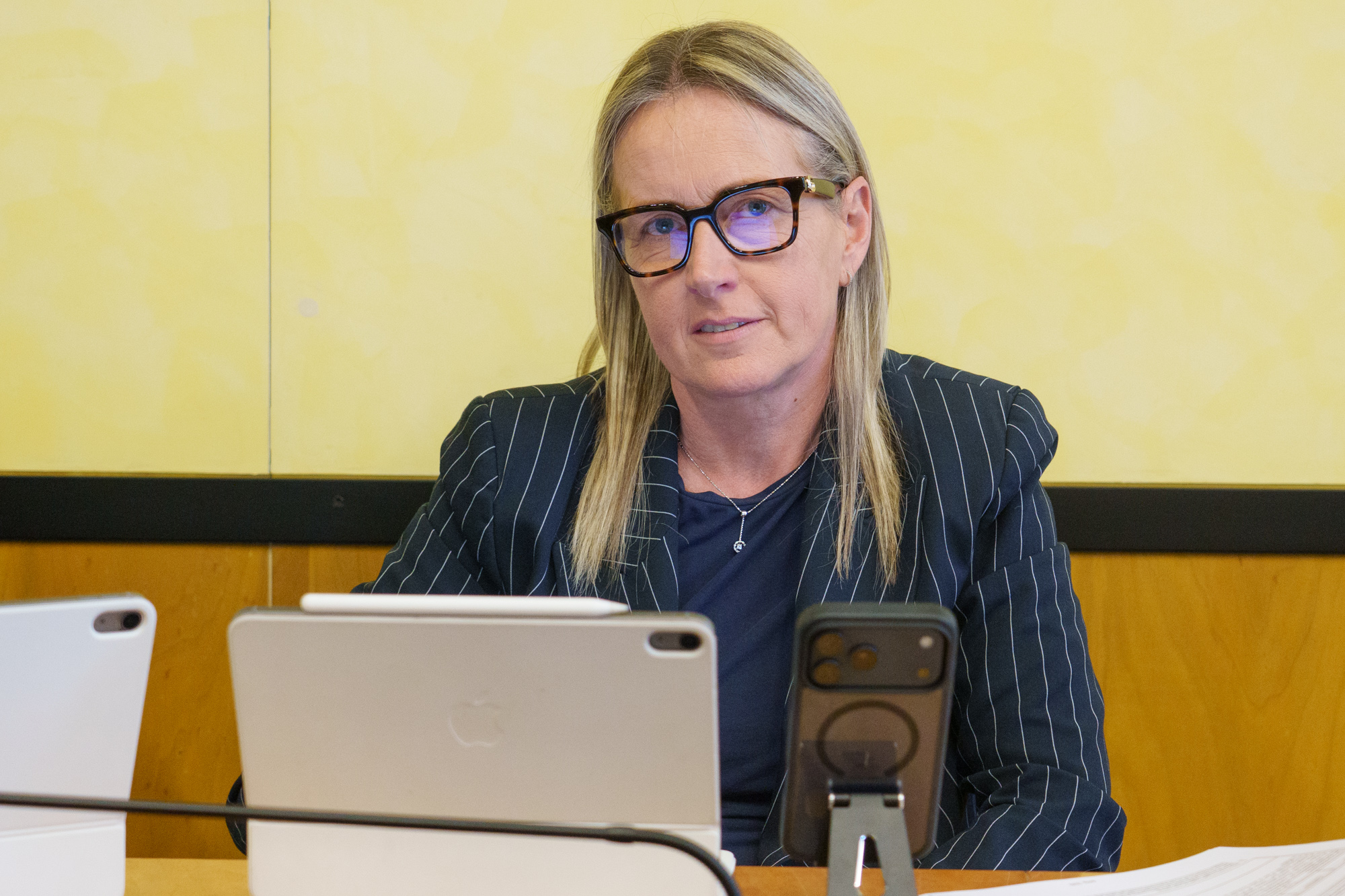 immagine descrittiva