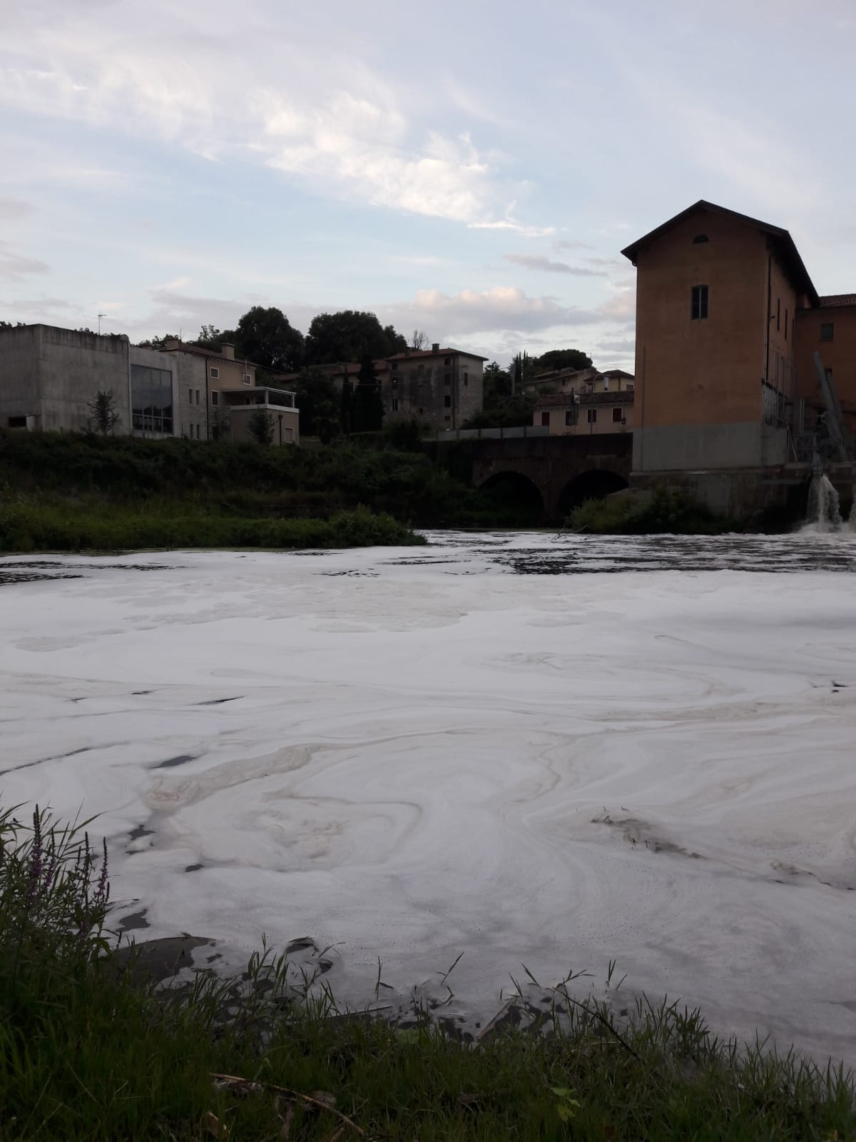 immagine descrittiva