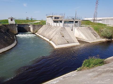 immagine descrittiva