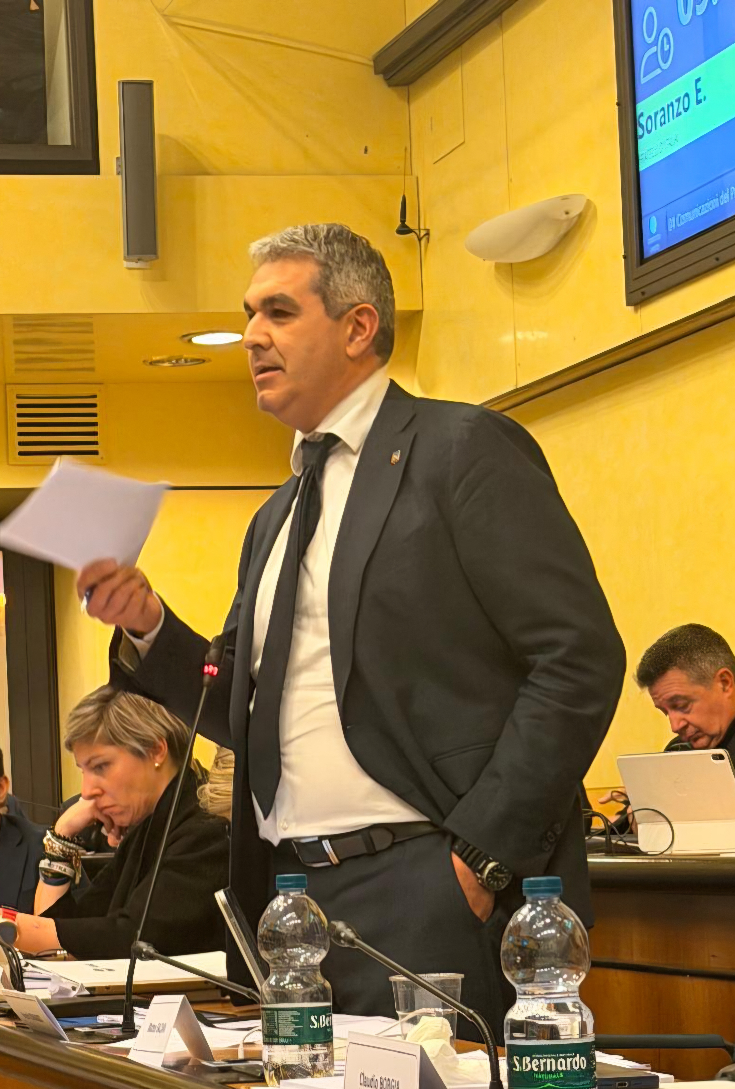 immagine descrittiva