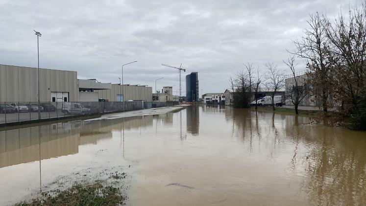 immagine descrittiva