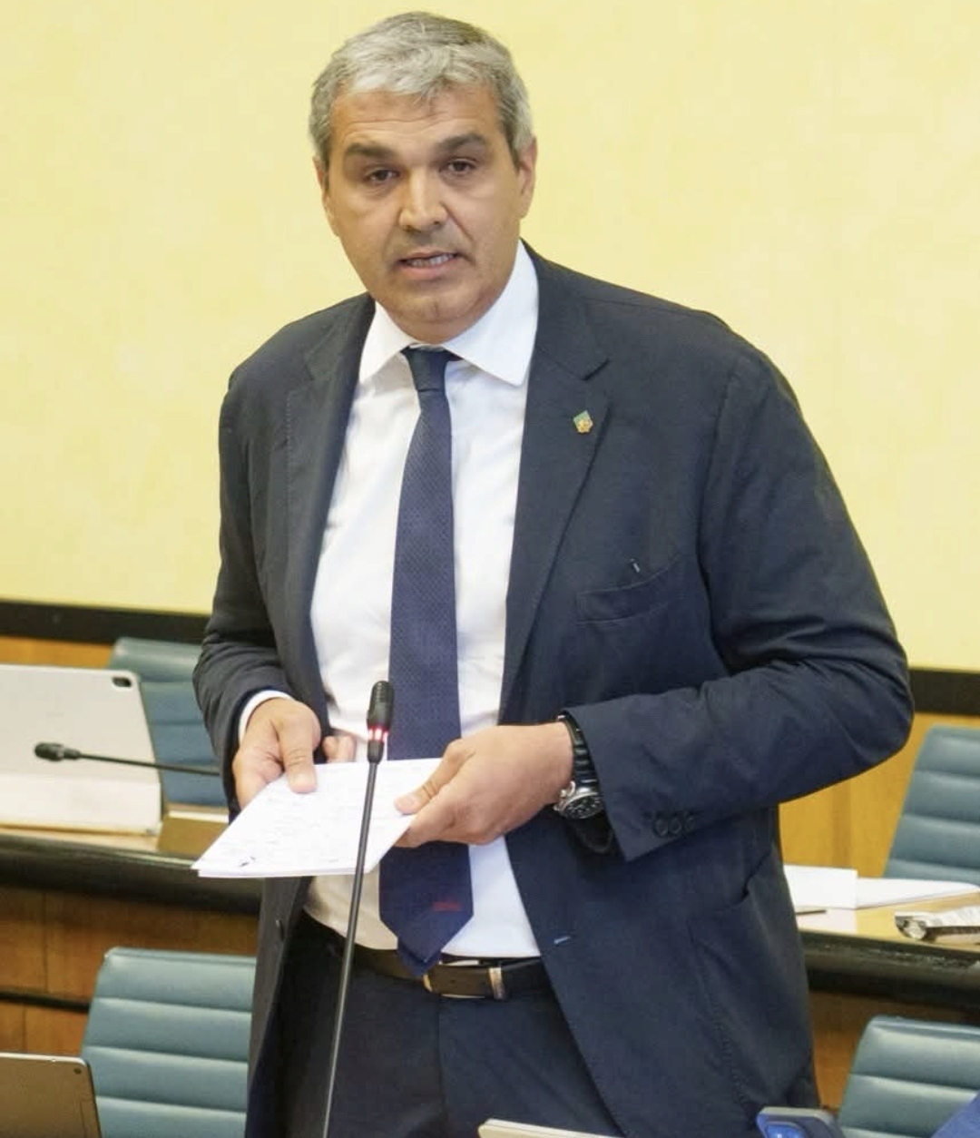 immagine descrittiva