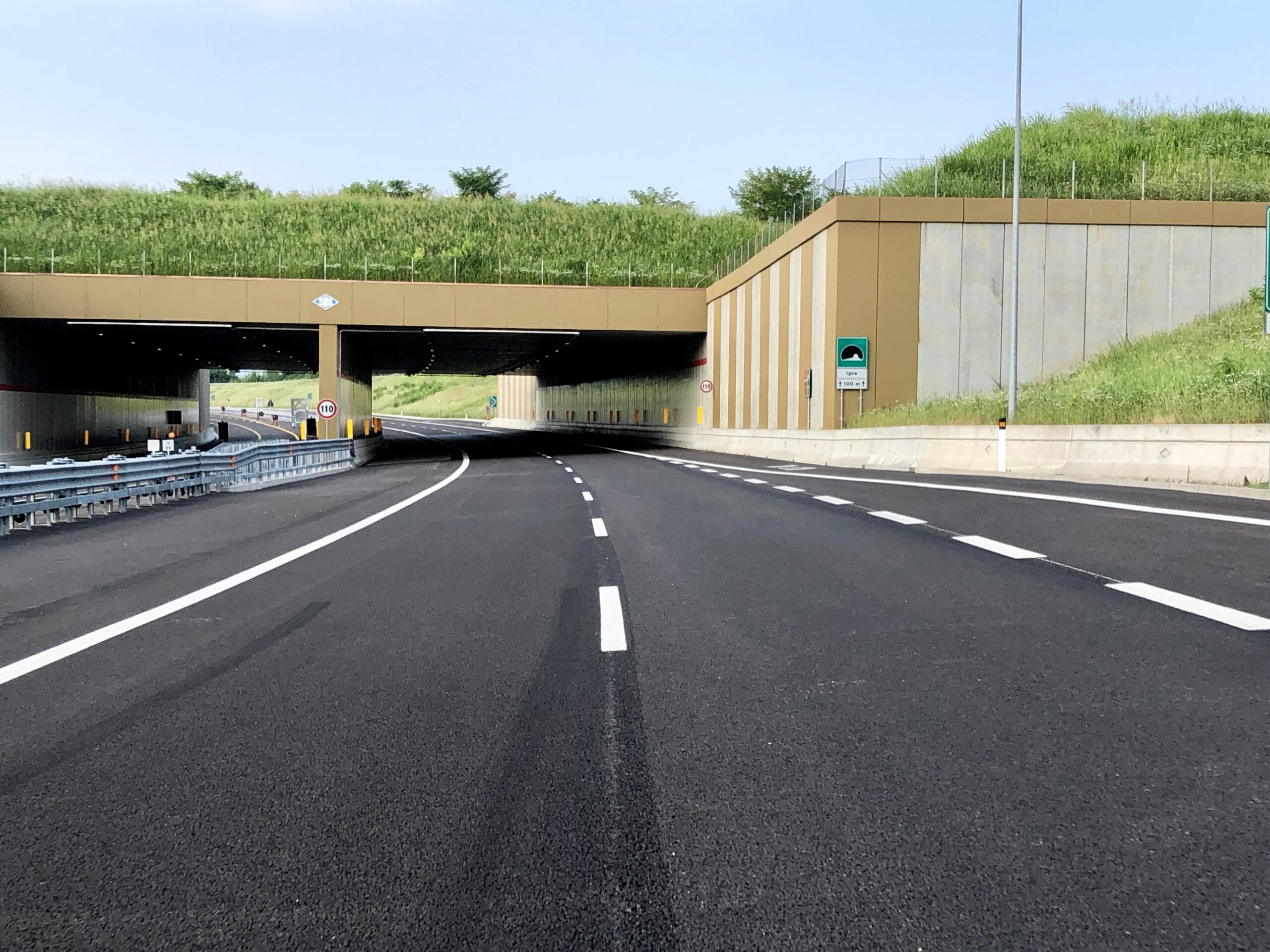 immagine descrittiva