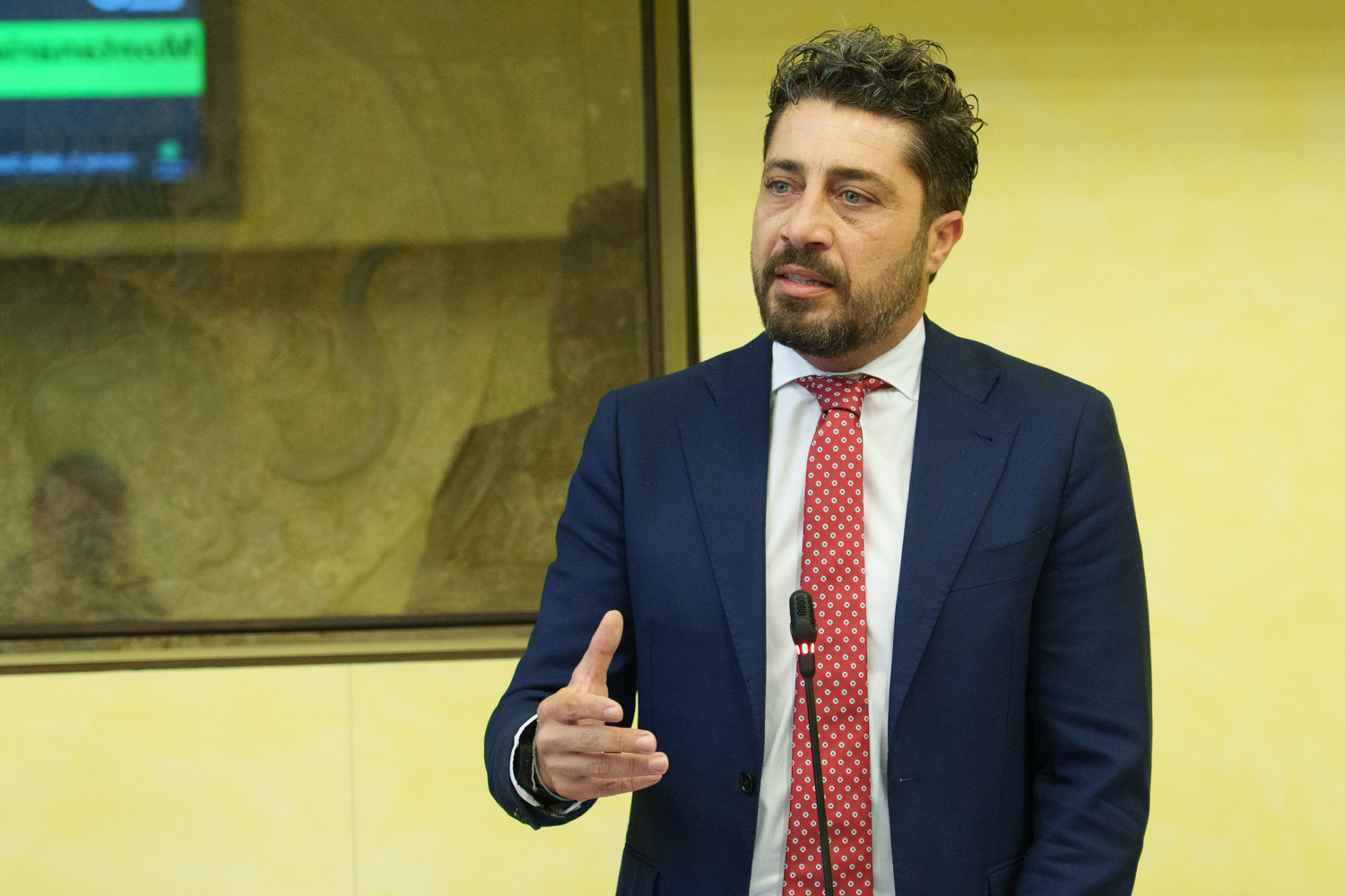 immagine descrittiva