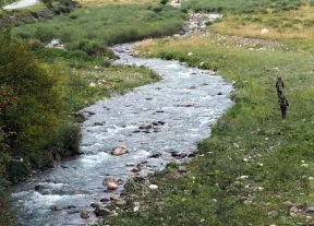 immagine descrittiva