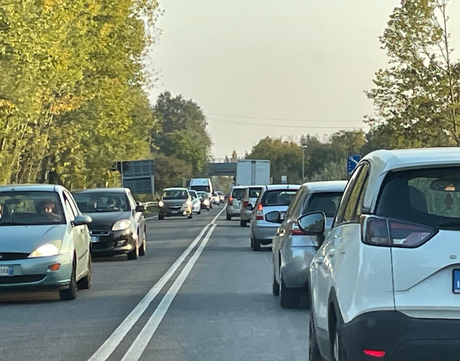 immagine descrittiva