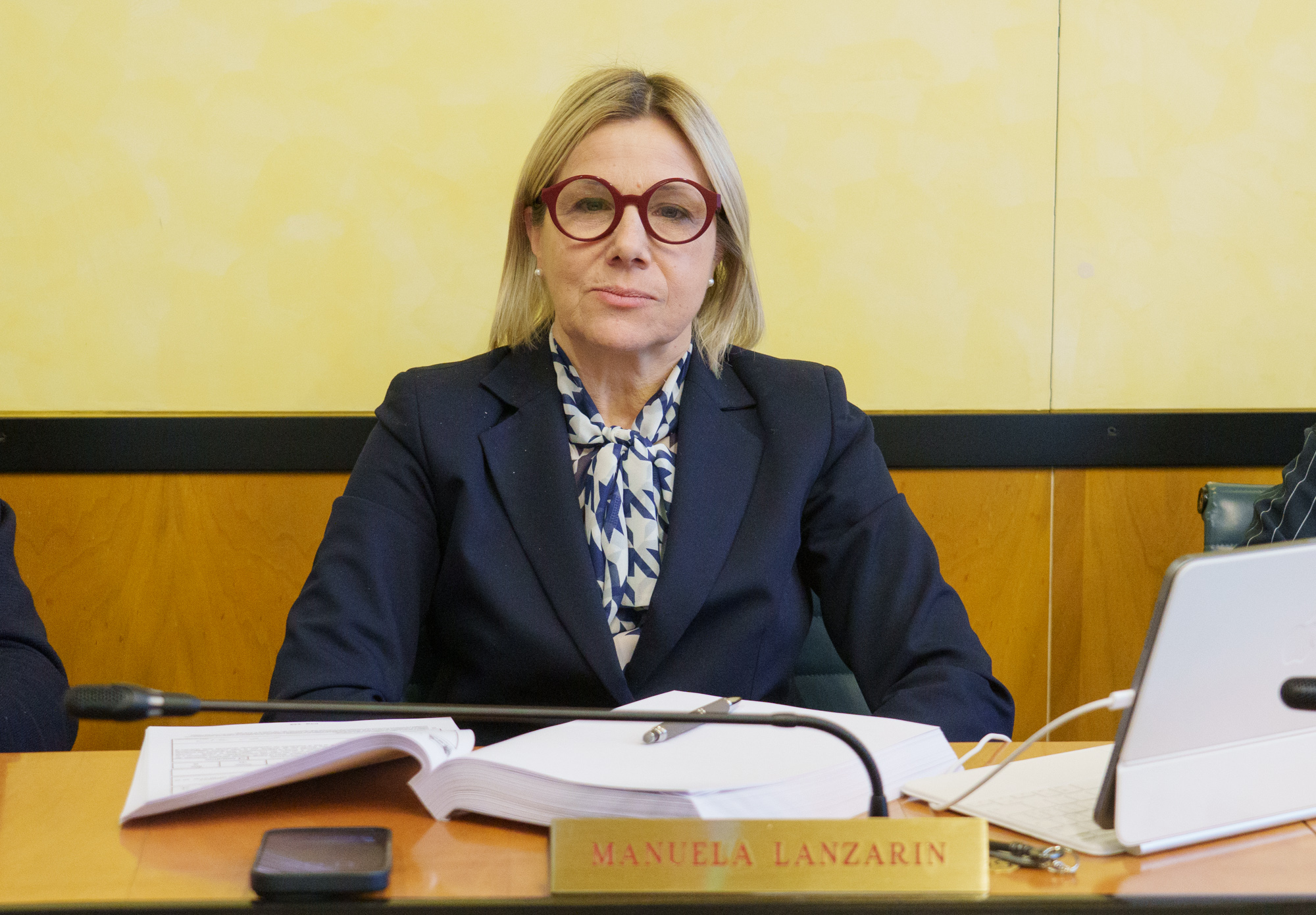 immagine descrittiva