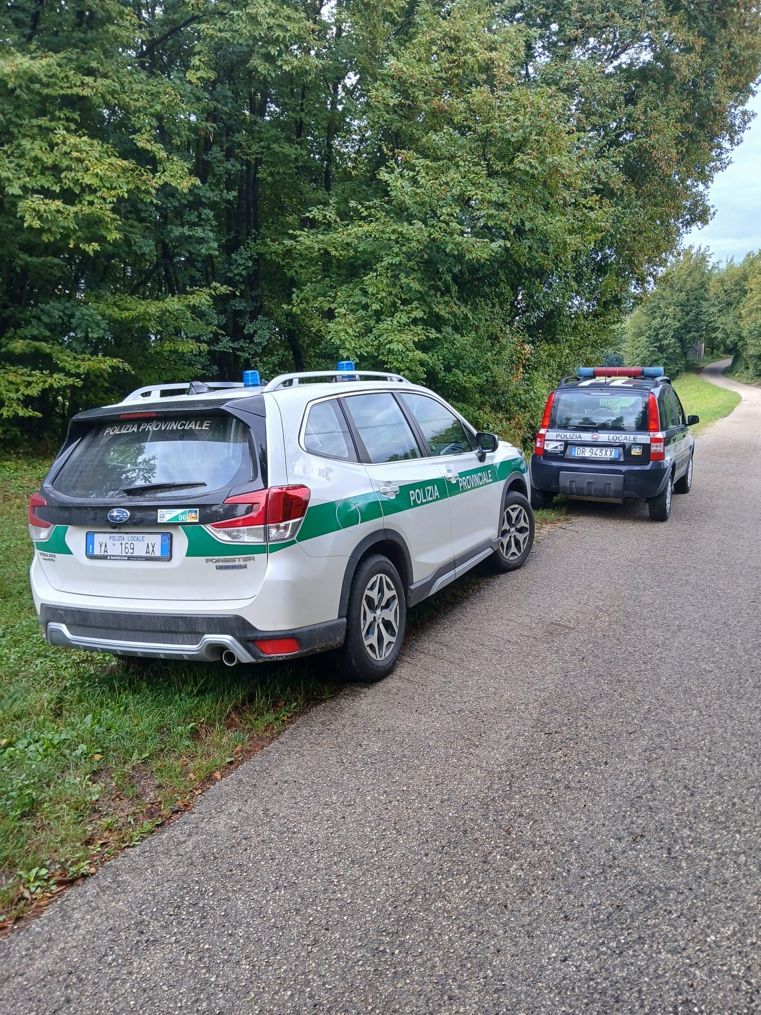 immagine descrittiva