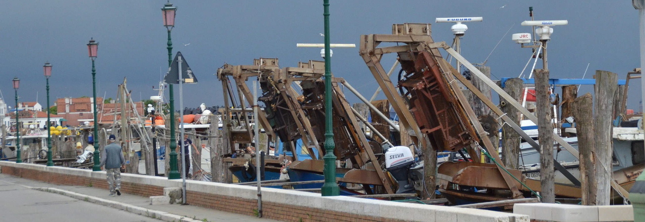 immagine descrittiva