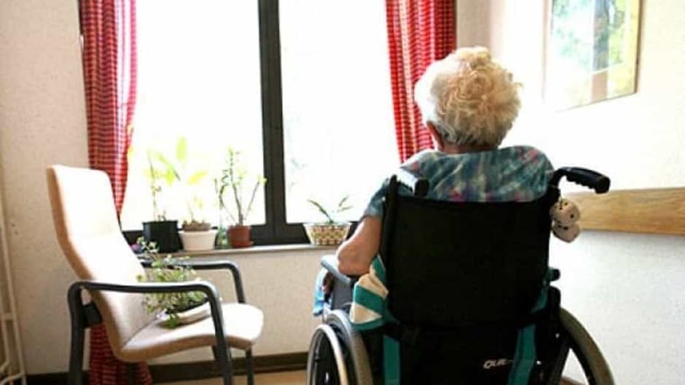 immagine descrittiva