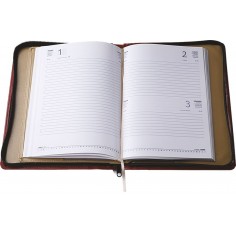 immagine descrittiva