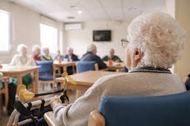 immagine descrittiva