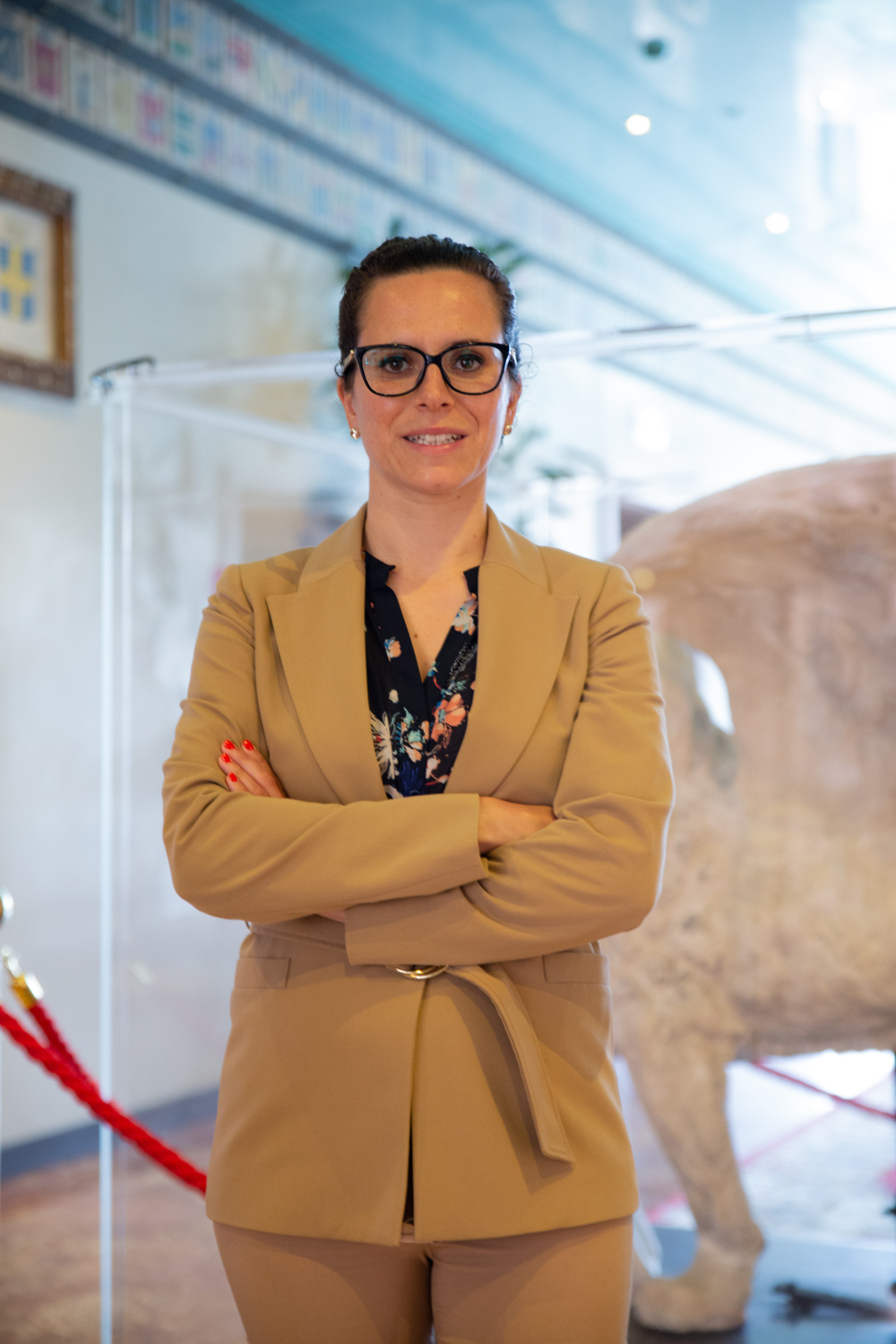 immagine descrittiva