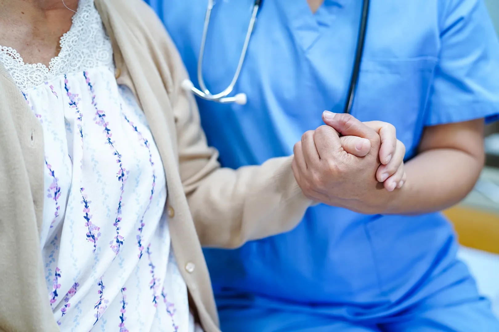 immagine descrittiva