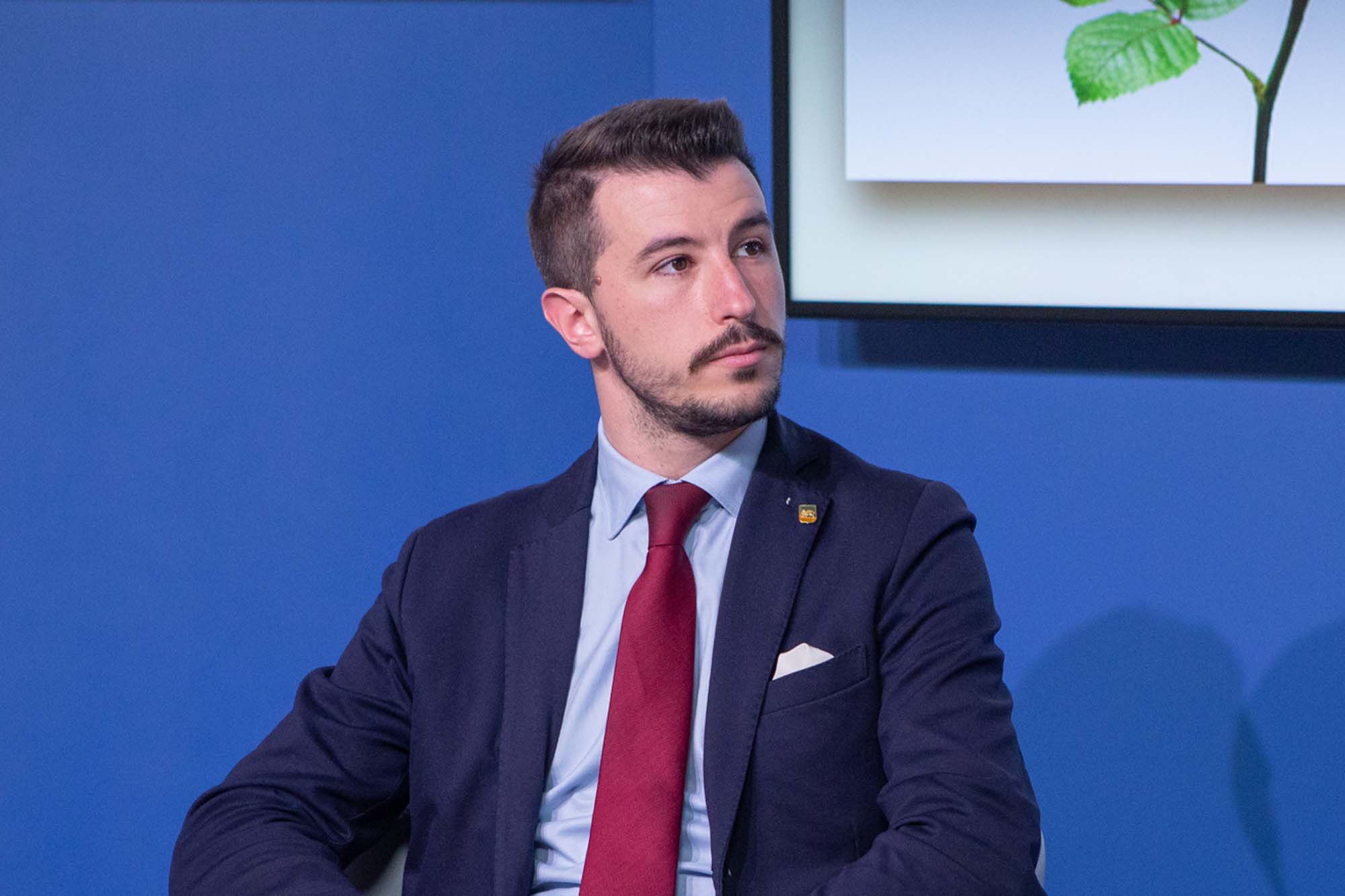 immagine descrittiva