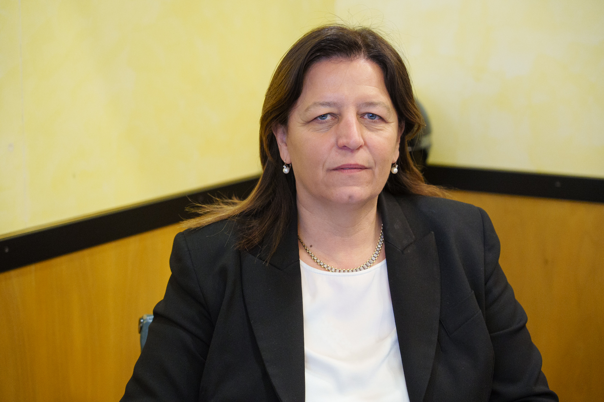 immagine descrittiva