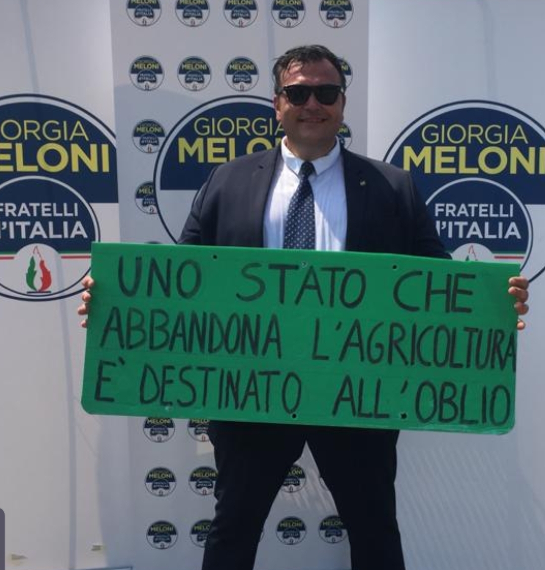 immagine descrittiva