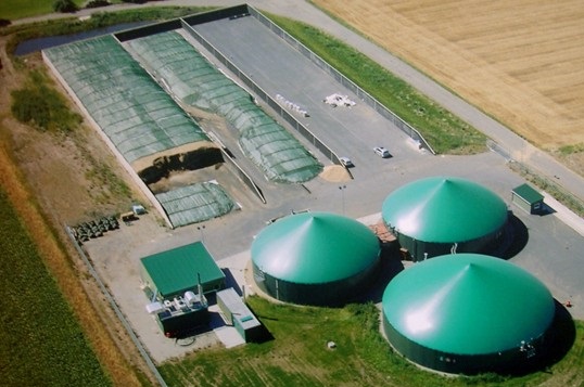 immagine descrittiva