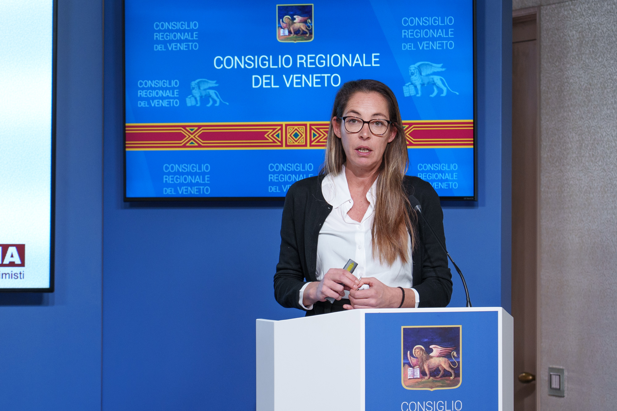 immagine descrittiva