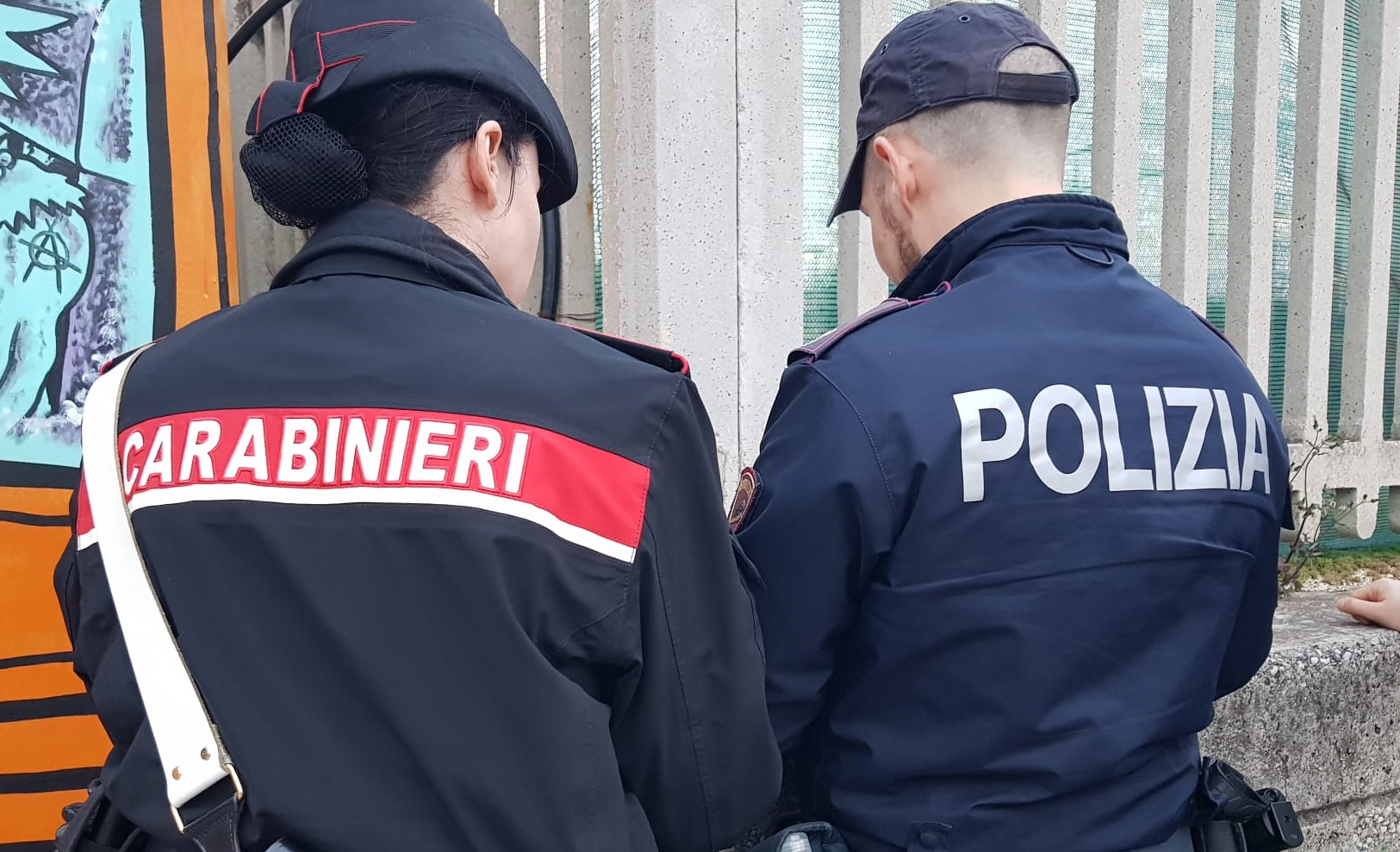 immagine descrittiva