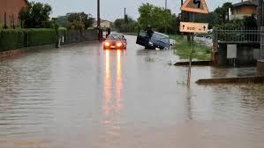 immagine descrittiva