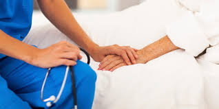 immagine descrittiva