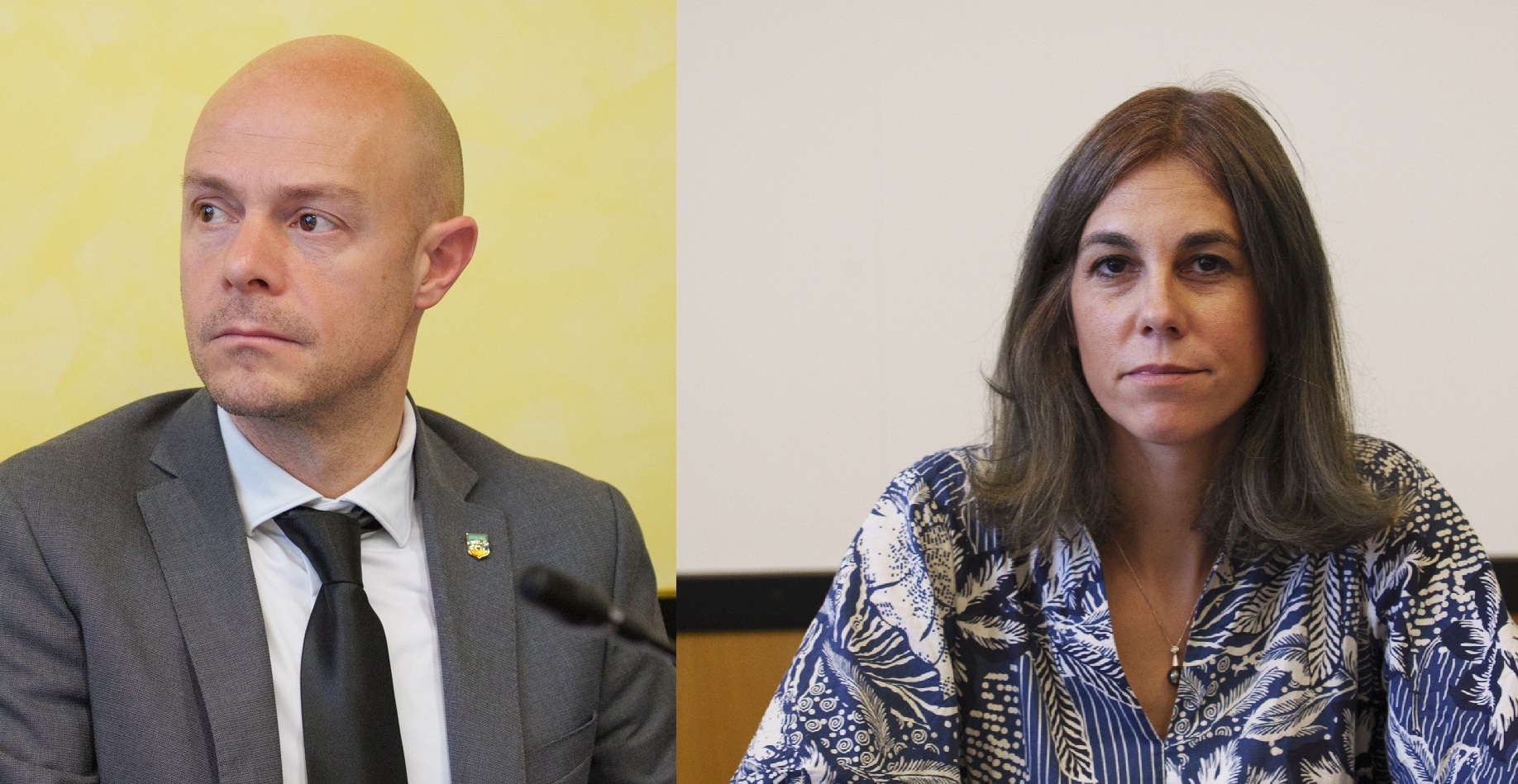 immagine descrittiva