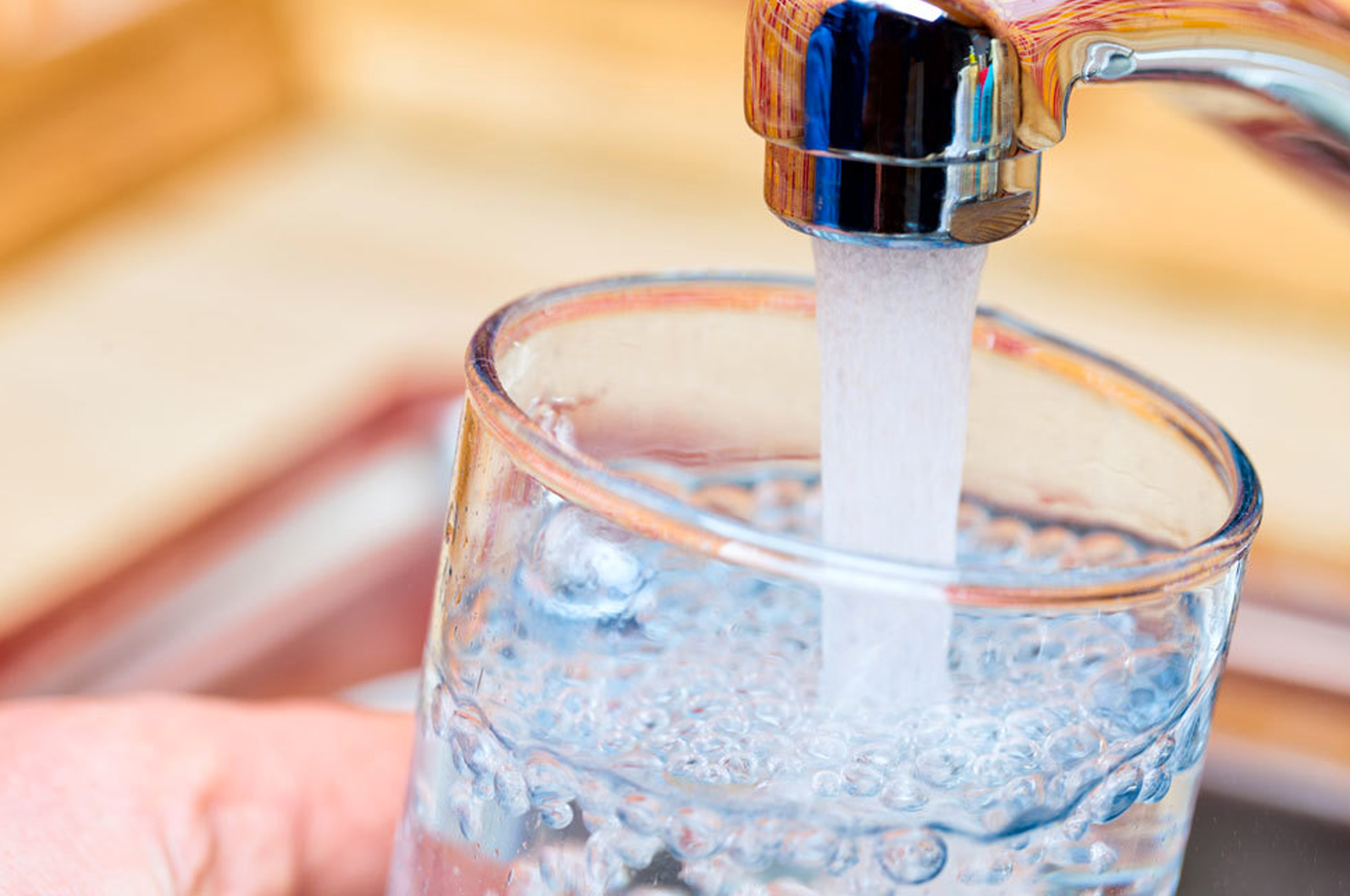 immagine descrittiva