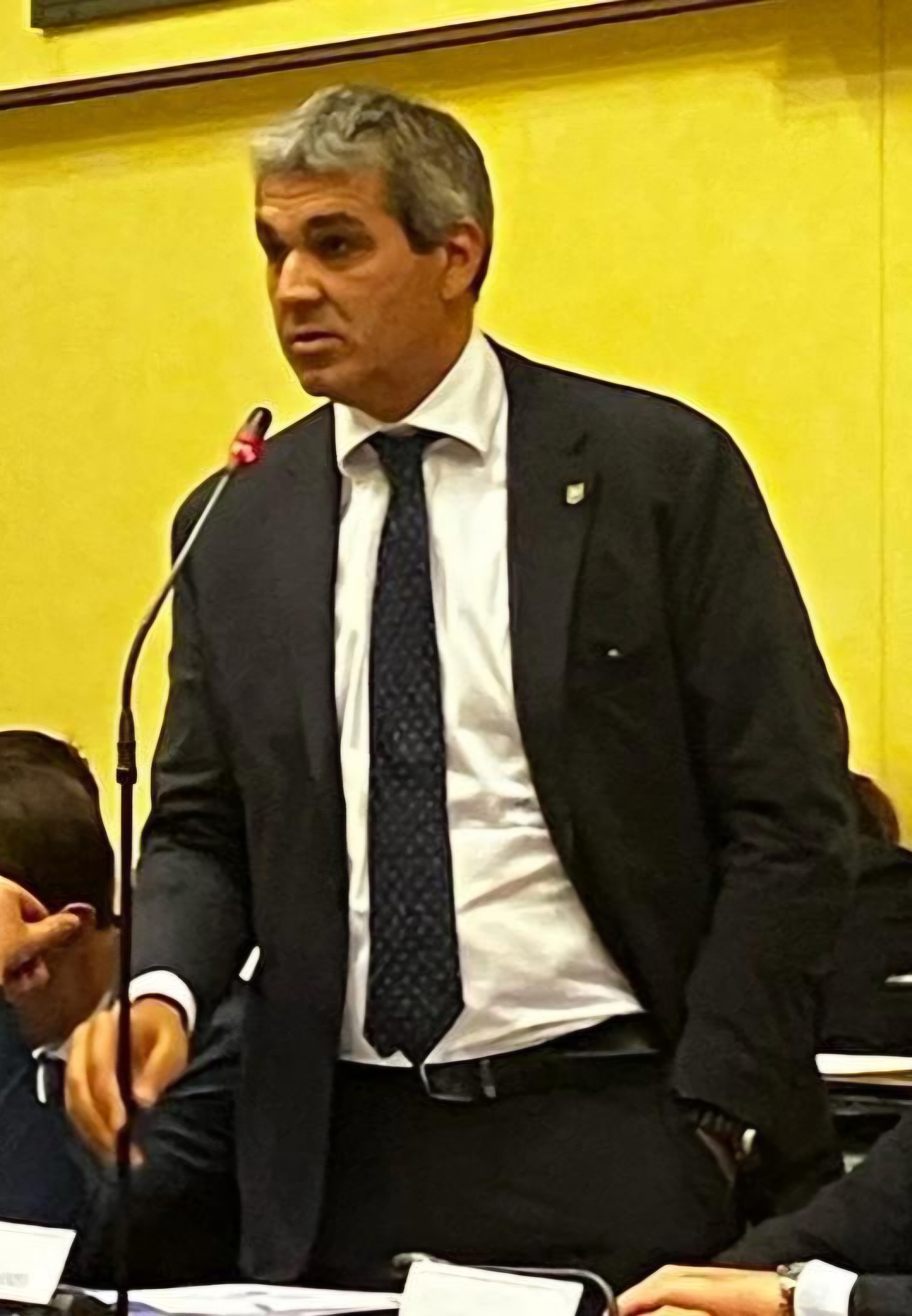 immagine descrittiva