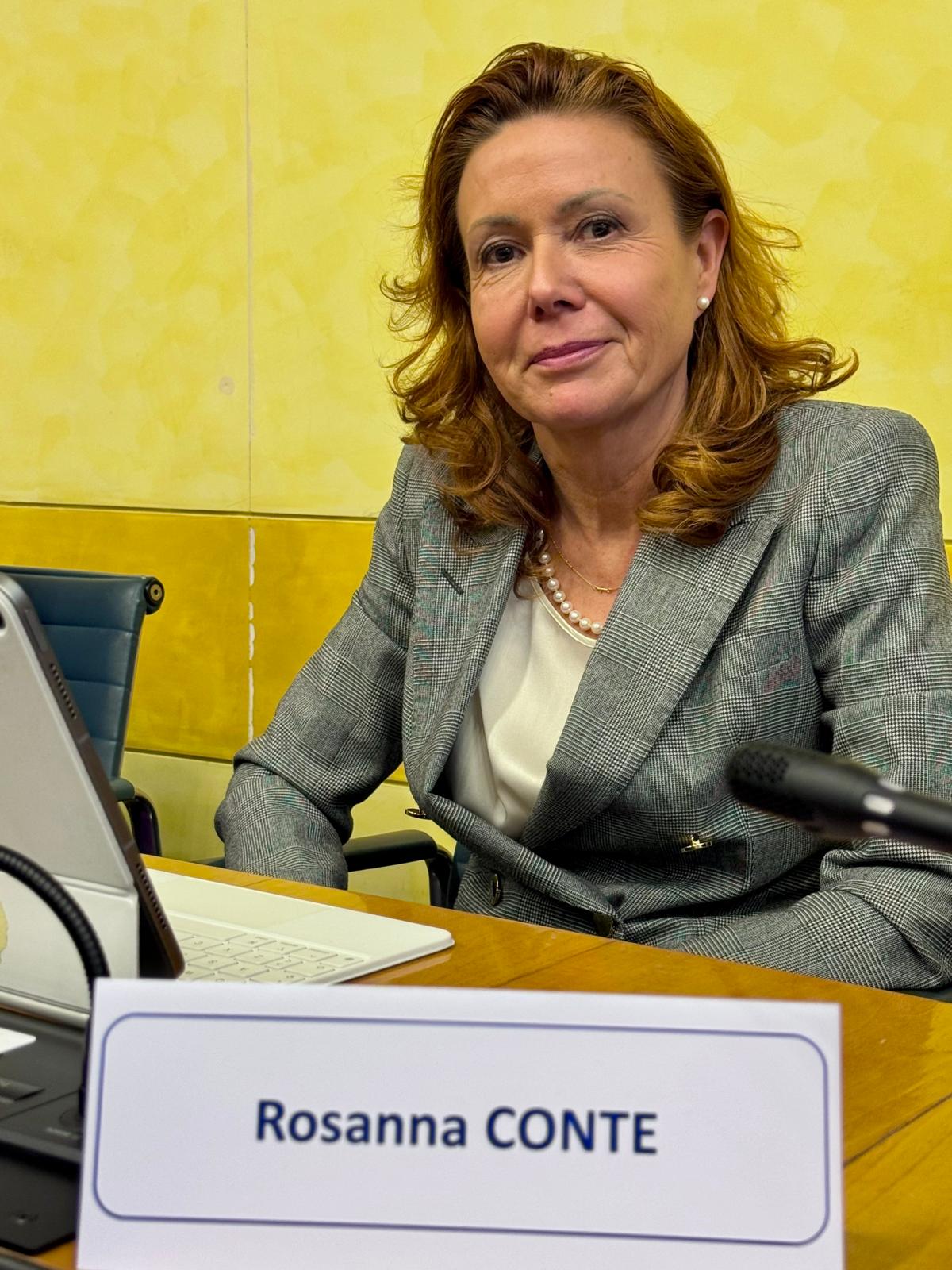 immagine descrittiva