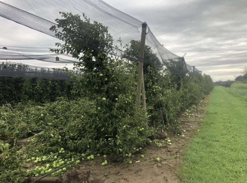 immagine descrittiva