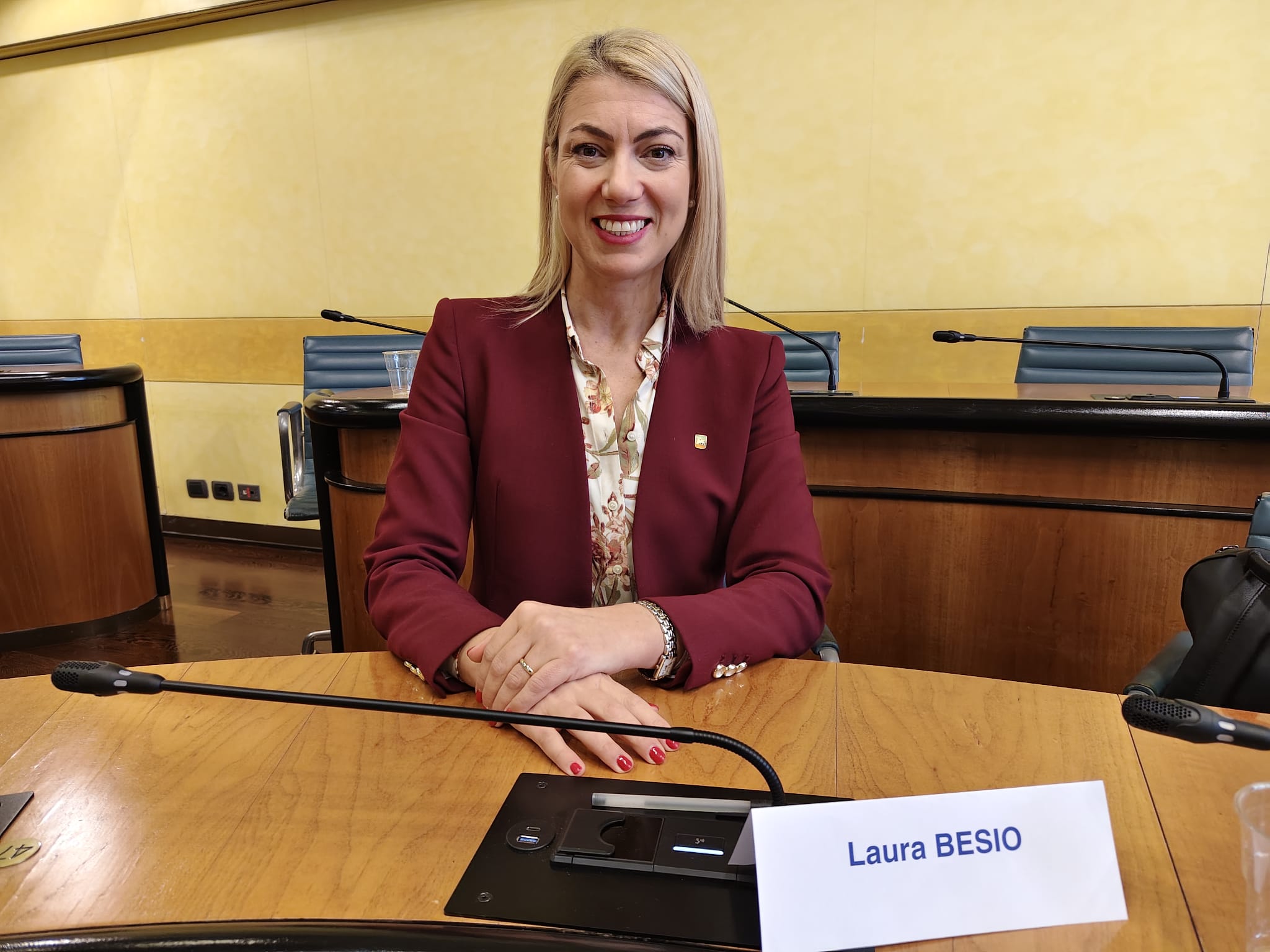 immagine descrittiva