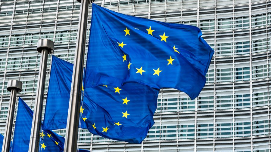 immagine descrittiva