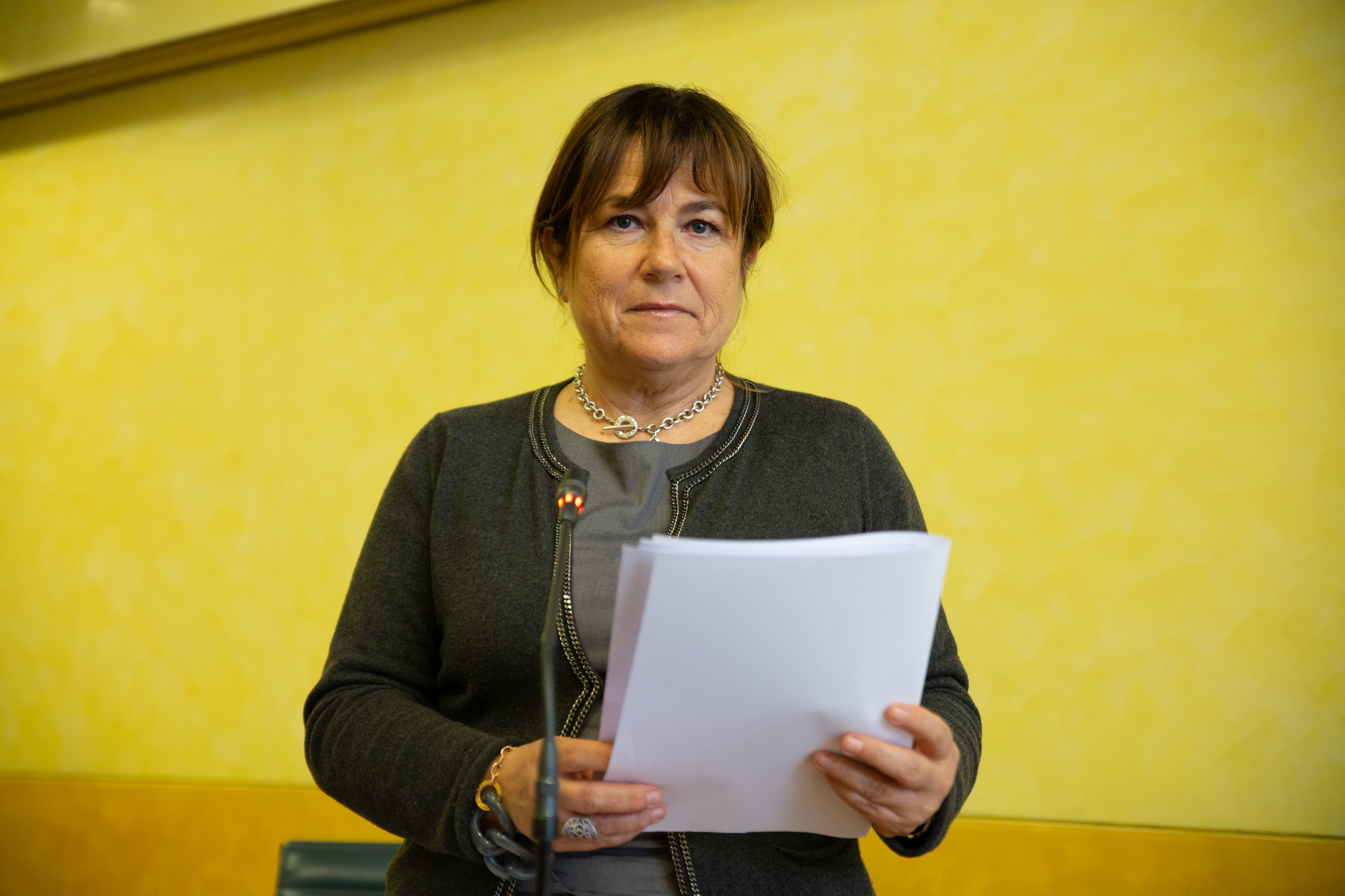 immagine descrittiva