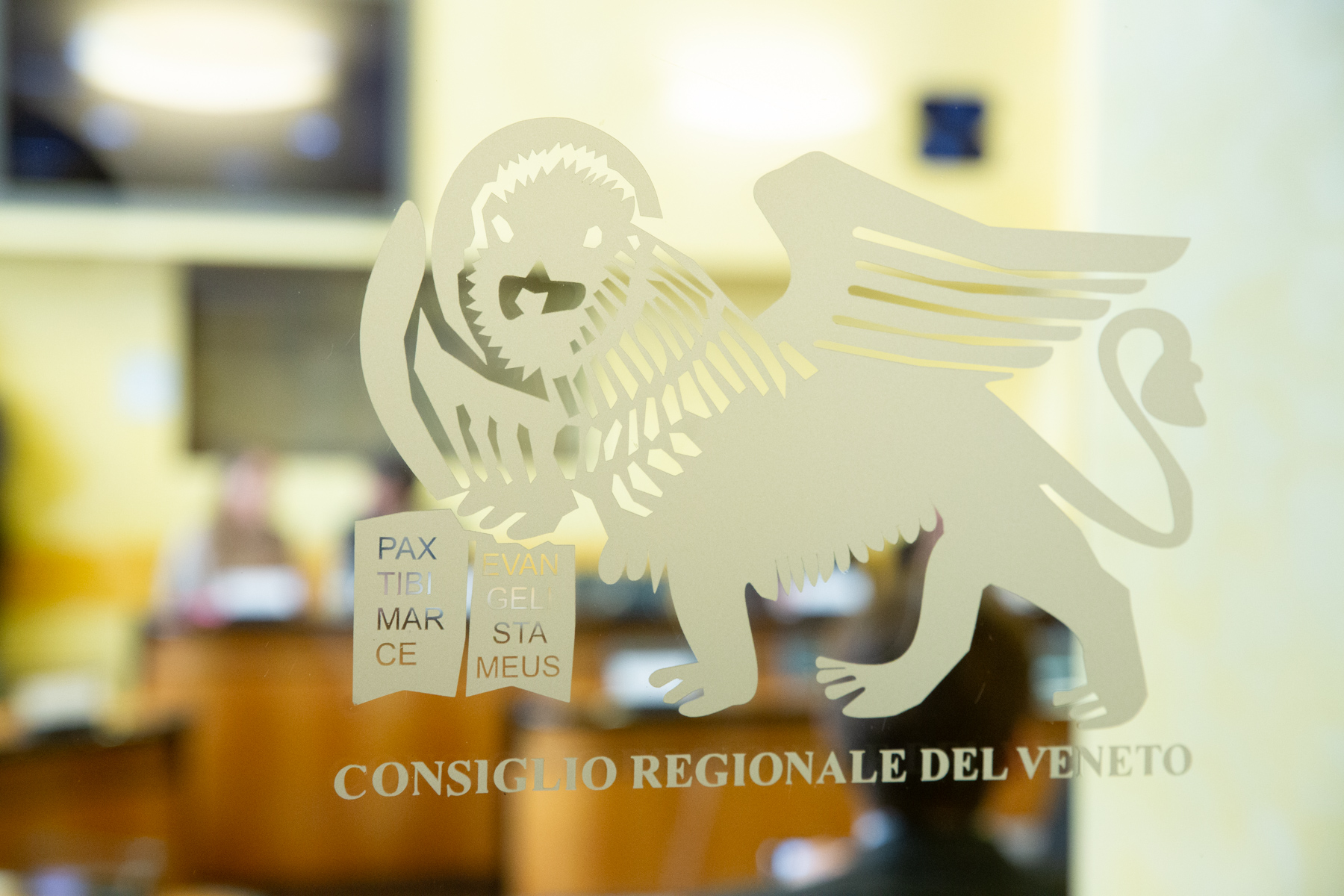 immagine descrittiva