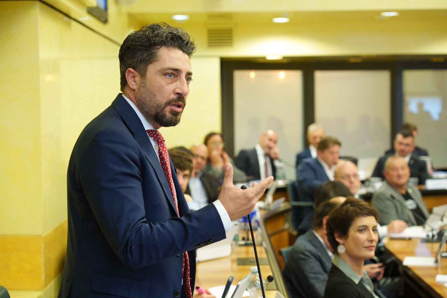 immagine descrittiva