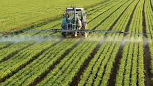 immagine descrittiva