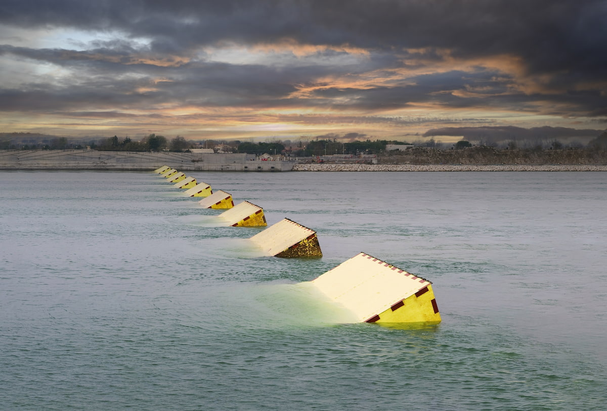 immagine descrittiva