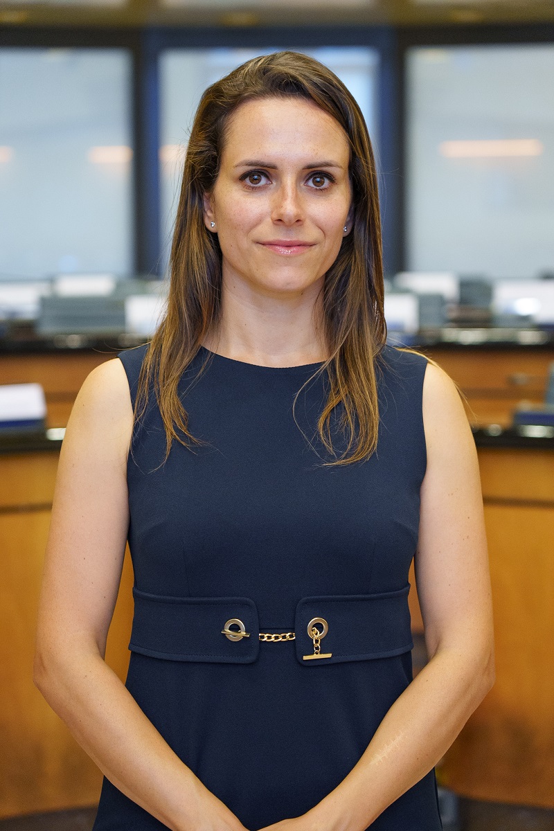 immagine descrittiva