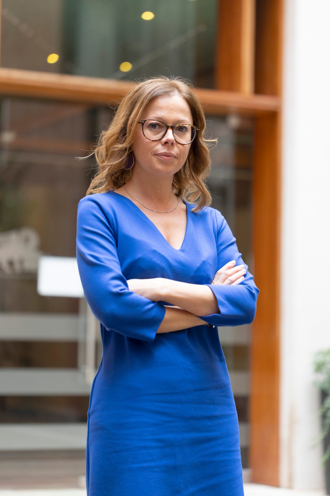 immagine descrittiva