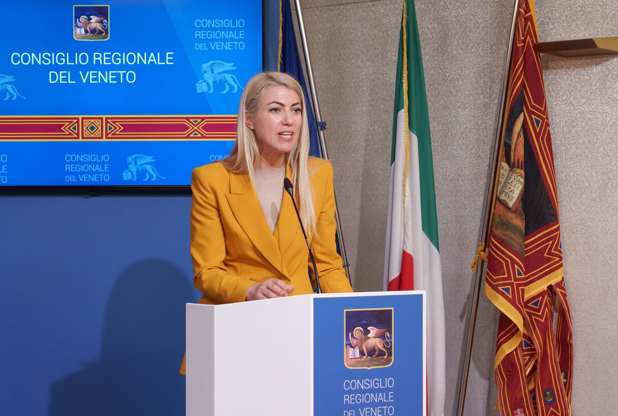 immagine descrittiva