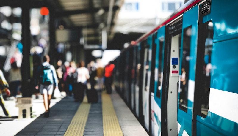 immagine descrittiva