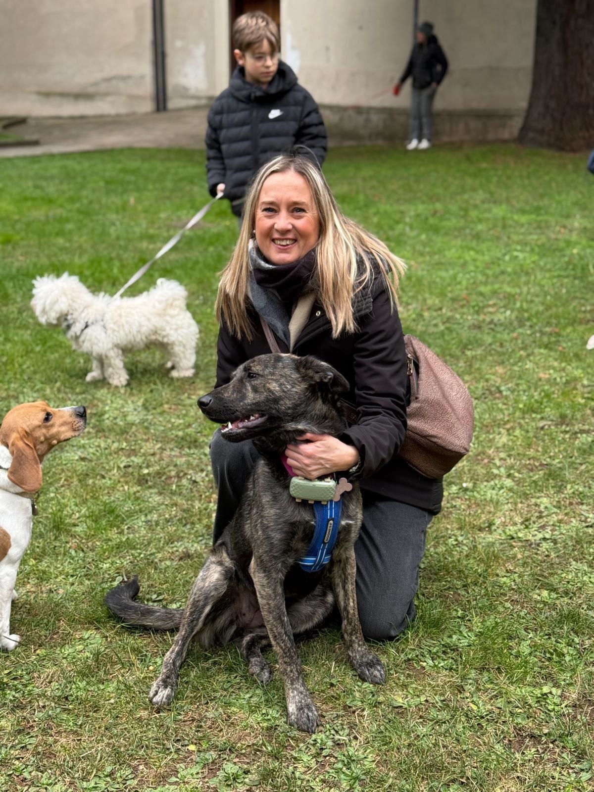 immagine descrittiva