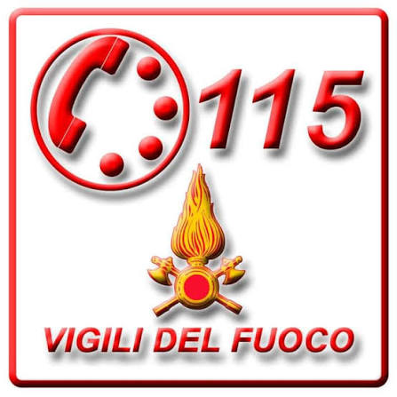 immagine descrittiva
